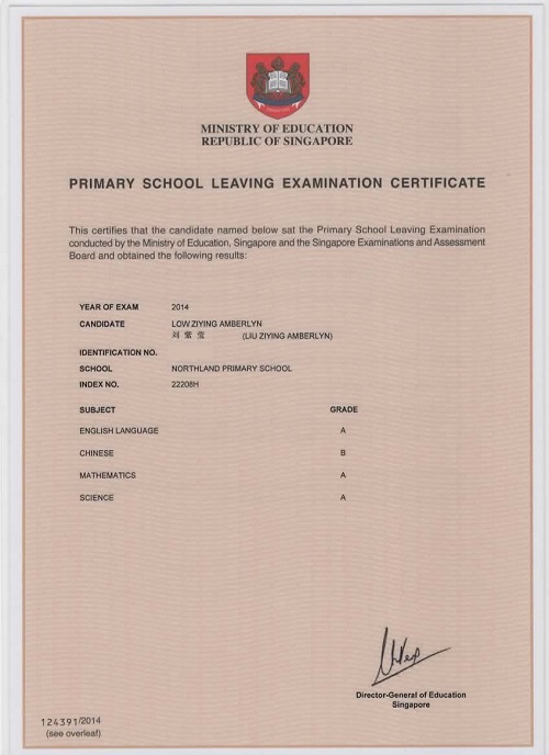PSLE Certificate